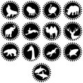 The living world representative of wildlife on abstract background of sun illustration on a white background Royalty Free Stock Images