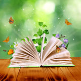Magic book Stock Photography