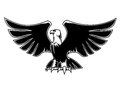 Majestic eagle with open wings for heraldry and tattoo design Stock Images