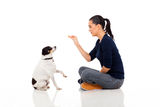 Woman training pet Royalty Free Stock Photo