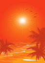 Orange summer background with the sun palms and the sea Royalty Free Stock Photo