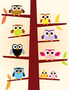Owls in a tree with different colors Stock Photography