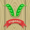 Pea pod on wooden boards with red ribbon vector illustration of a a labeling Royalty Free Stock Photo