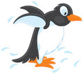 Penguin funny running vector illustration on a white background Stock Photo