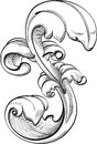 Perfect acanthus leaf is isolated on white Stock Image