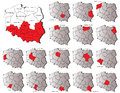 Poland provinces maps a set of icons Stock Image