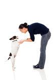 Woman training dog Royalty Free Stock Photos