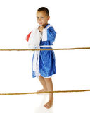 Ready for a Fight! Stock Photo