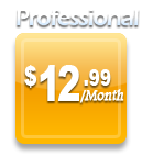 professional plan price