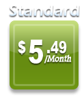 standard plan price
