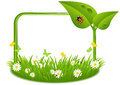 Spring background with green grass butterflies and ladybugs Stock Image