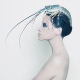 Surreal lady with lobster on her head Royalty Free Stock Photos