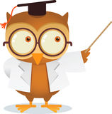 Teaching owl Royalty Free Stock Photos