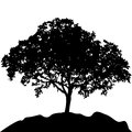 Tree at hill silhouette vector illustration isolate on white background Stock Photos