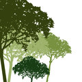 Tree vector illustration isolate on white background Stock Photography