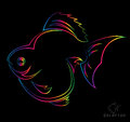 Vector image of an goldfish on black background Stock Photos