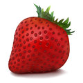 Vector strawberry juicy red isolated on white background Royalty Free Stock Photography