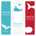 Whale banners vector image of an Stock Photography