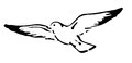 White dove drawing isolated on a background Royalty Free Stock Image